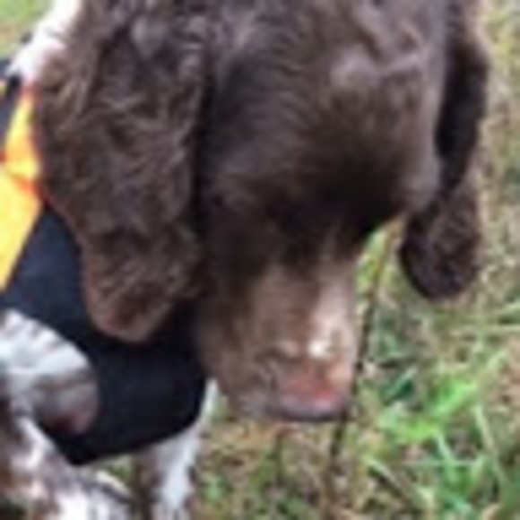 Meet your Posher, Aliyah - Picture 1 of 1